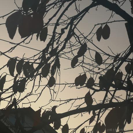 筱舟大摸王于2022-11-20 16:35发布的图片