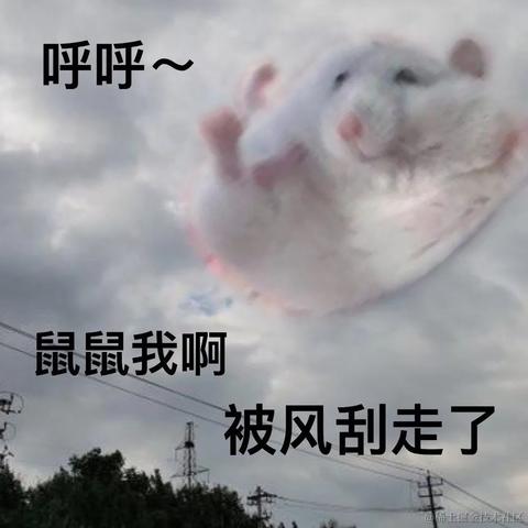 Canivores于2022-10-10 21:21发布的图片