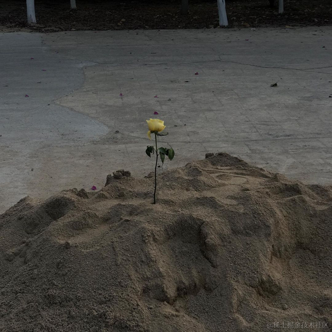 紫菜捏于2022-11-29 11:10发布的图片