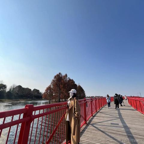 Cissie于2022-03-21 14:06发布的图片