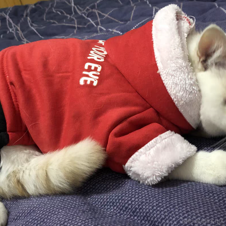 027西瓜皮于2021-12-27 13:54发布的图片