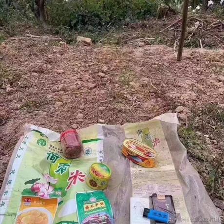 张望龙12138于2022-11-30 18:15发布的图片