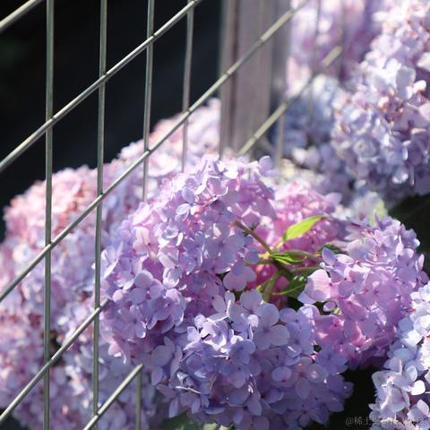 通惠管理顾问于2023-06-19 15:05发布的图片