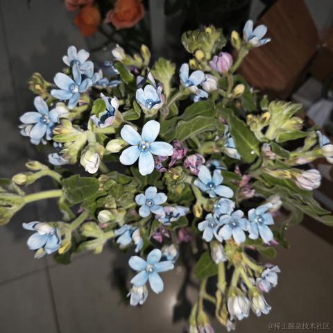 用户7127111593181于2023-05-02 20:10发布的图片