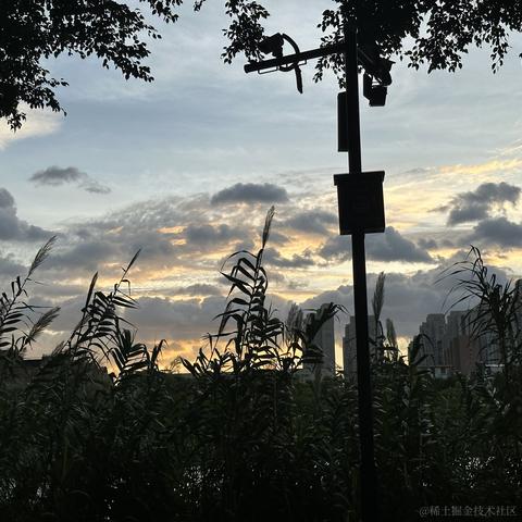 要怎么减肥呢于2023-08-31 08:39发布的图片