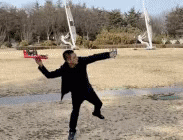 256.GIF