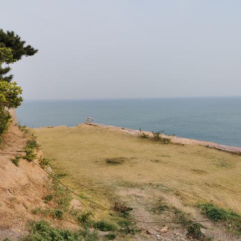 还有头发的萝卜头于2022-10-22 18:57发布的图片