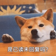 小南瓜耶于2021-09-03 13:03发布的图片