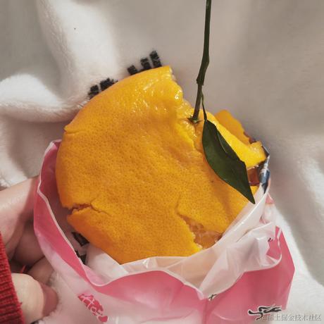 左尾1236于2023-02-01 08:23发布的图片