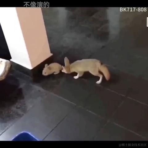 小兔子怎么听得懂这些呢于2022-12-20 05:25发布的图片