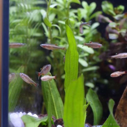 __momo__于2024-03-20 14:57发布的图片