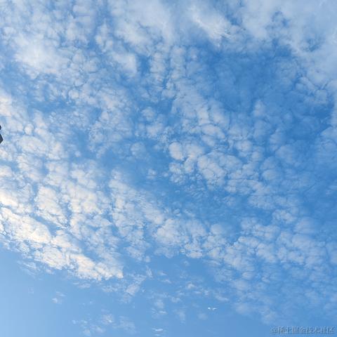 __Petrichor于2024-06-03 10:15发布的图片