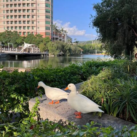 LioneHuang于2022-11-14 12:16发布的图片