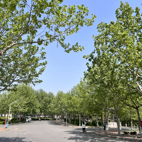 月球背面于2023-05-16 15:46发布的图片