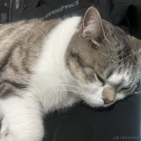 Pokeya于2023-02-16 01:19发布的图片