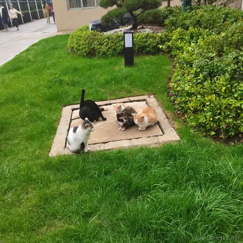 顶碗的王木木于2022-11-25 08:11发布的图片