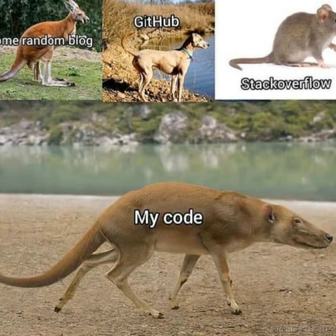 YOYONE于2022-12-29 14:13发布的图片