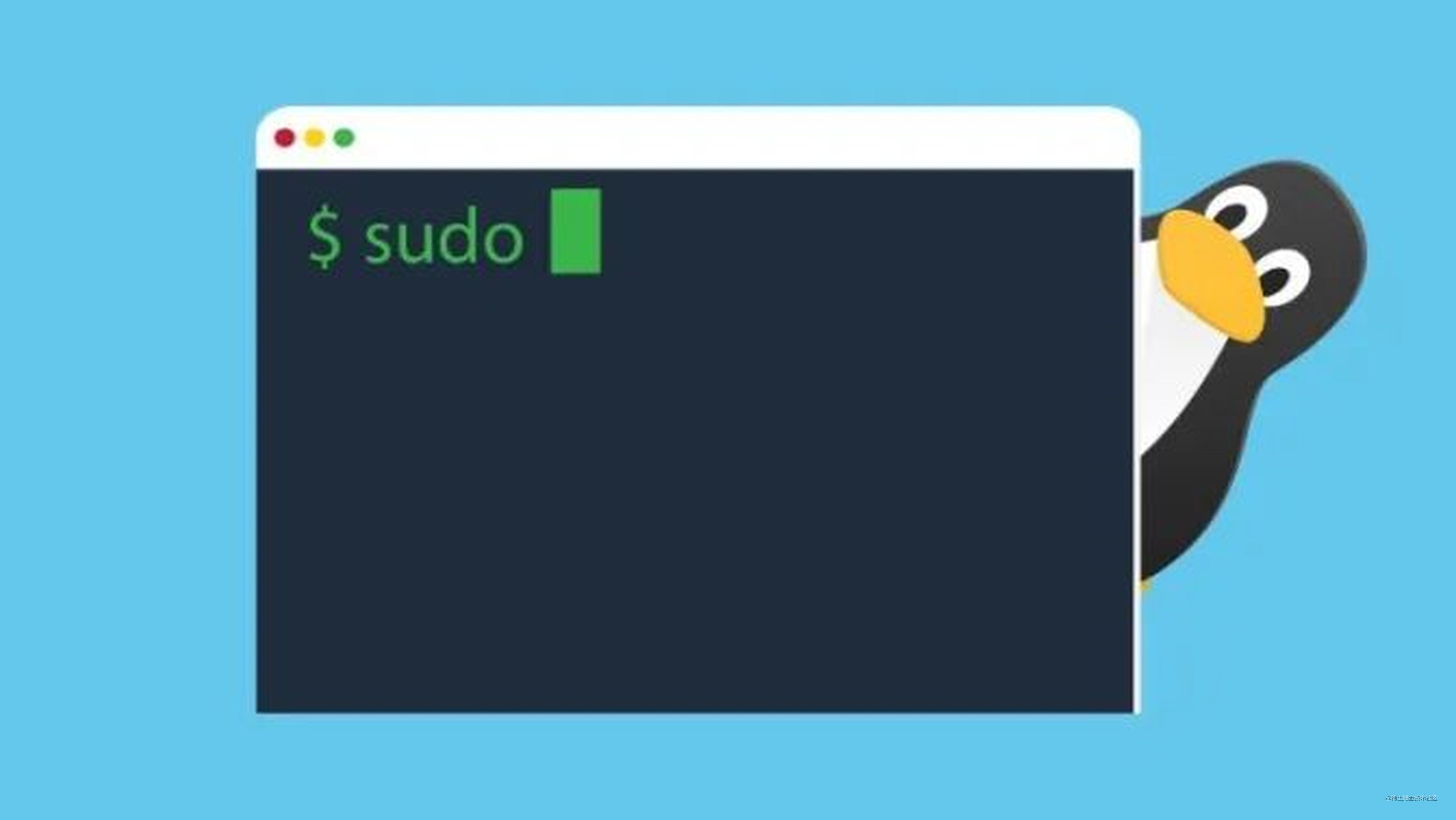 Sudo Openvpn Command Not Found