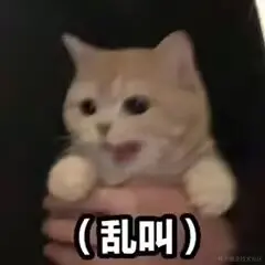54747f41c96692e91025c3d7e7dffc27.jpg
