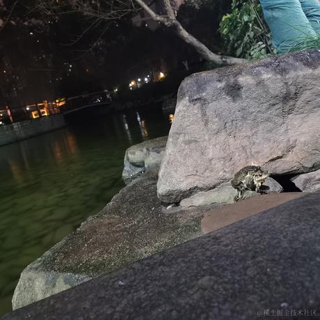 泊浮目于2022-03-01 19:45发布的图片