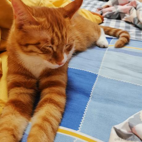 鲨脆脆脆于2023-06-07 09:23发布的图片