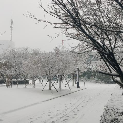 v零于2024-02-06 17:57发布的图片