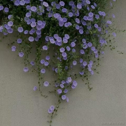 汽水味的小盆友于2022-11-14 22:14发布的图片