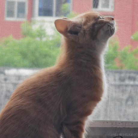 鲨脆脆脆于2023-05-30 19:41发布的图片