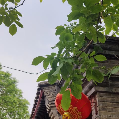 bysking于2023-05-05 13:36发布的图片