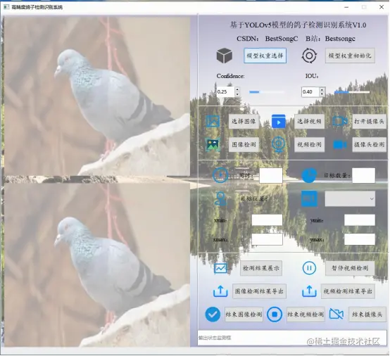高精度鸽子检测识别系统1791.png