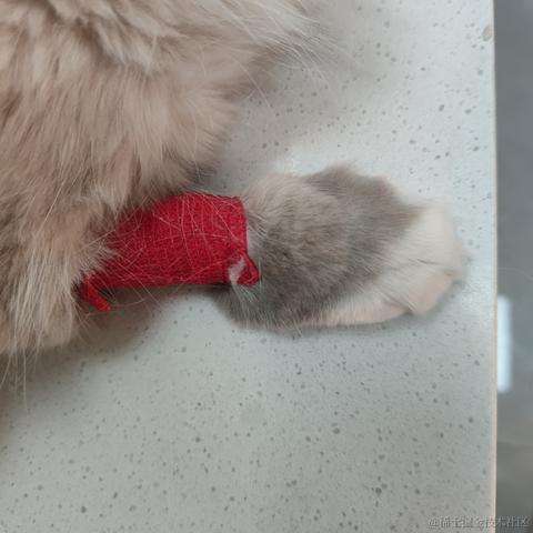 林雨一直走于2023-06-04 23:25发布的图片