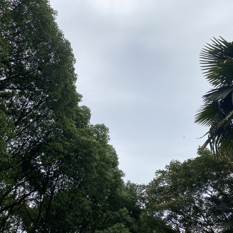 用户6777132792626于2023-06-28 12:42发布的图片