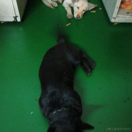 龙龙欧龙龙于2022-11-29 12:35发布的图片