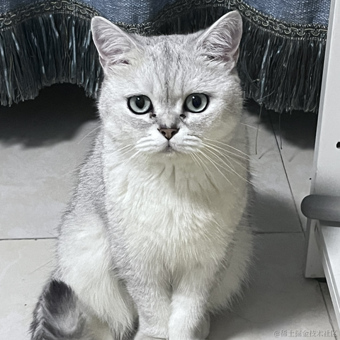 用户5832511041996于2023-02-09 02:22发布的图片