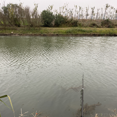 纪先生于2022-12-10 15:32发布的图片