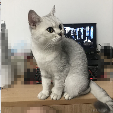 进击的琦玉于2020-09-29 16:37发布的图片