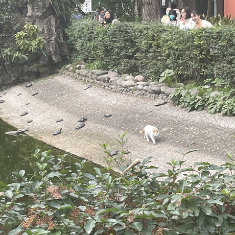 喵描渺庙于2023-03-18 00:39发布的图片