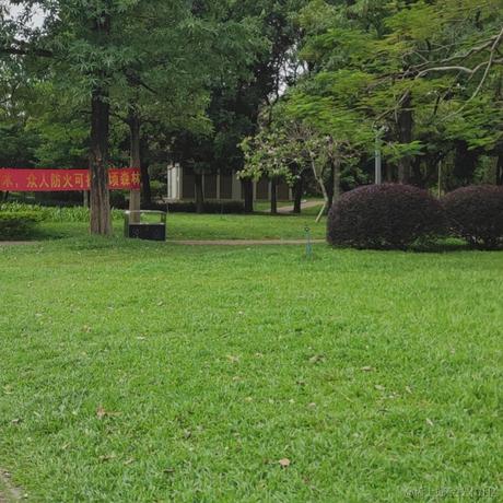 Ymo于2022-12-05 18:21发布的图片