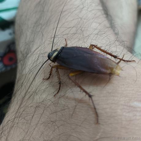 Time_leapt于2023-06-12 23:15发布的图片