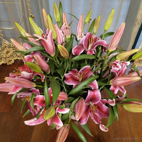 龙王980于2022-11-17 13:10发布的图片