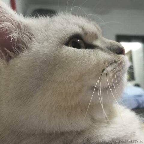 一只小菠萝于2021-10-27 17:20发布的图片