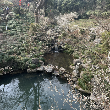 你说这是为什么于2023-05-29 14:03发布的图片