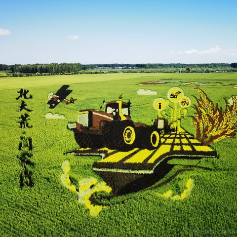 书包肚肚于2022-08-06 13:42发布的图片