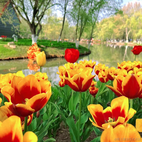 困芽芽于2023-04-01 22:20发布的图片