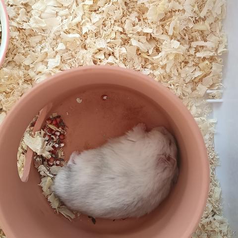 敲敲敲敲暴你脑袋于2023-10-16 07:43发布的图片