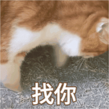 Utterance02于2022-12-22 09:53发布的图片