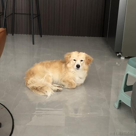 moonWind于2022-11-08 13:40发布的图片