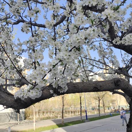 越南嘉心糖于2022-11-15 01:19发布的图片