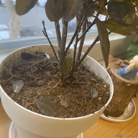 北洋于2023-02-02 09:24发布的图片