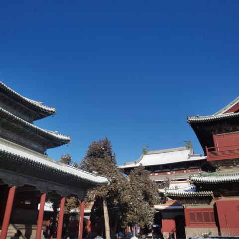 人性本恶于2023-12-16 10:40发布的图片